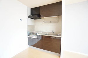 ヴィヴレ平井 B202号-3