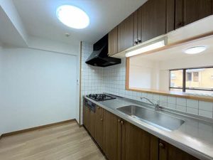 三渓ヒルズ A301号-14