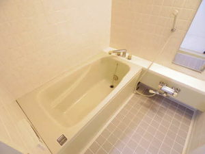 三渓ヒルズ E107号-8