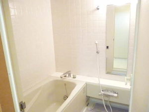 三渓ヒルズ E302号-9