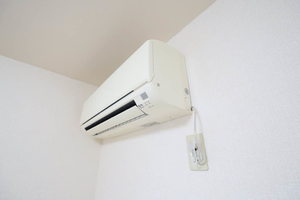 ハイムマグノリア B201号-11