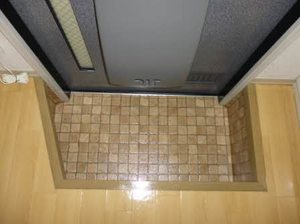 にれの木 0101号-7