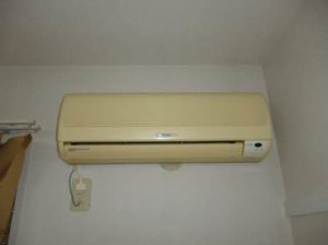 にれの木 0101号-11