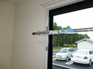 にれの木 0101号-12