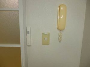 にれの木 0101号-13