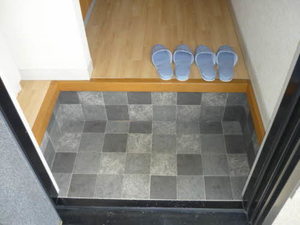 ヴィラスリーゼ 0107号-2