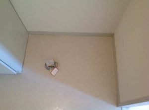 プレステージ岡崎Ａ 0203号-6