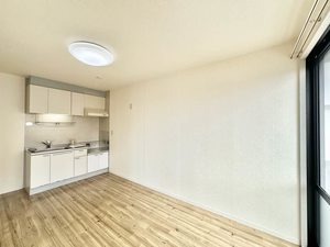 アペックスディアス 0202号-3