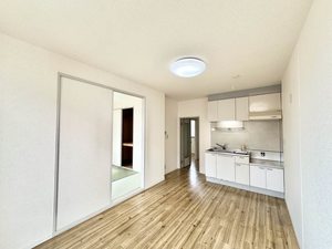 アペックスディアス 0202号-4