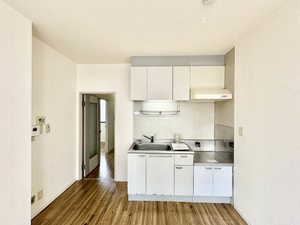 アペックスディアス 0202号-5