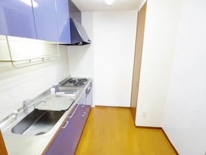 金翔レジデンスⅢ 0401号-4