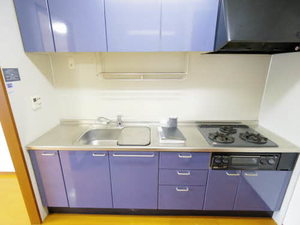 金翔レジデンスⅢ 0401号-5