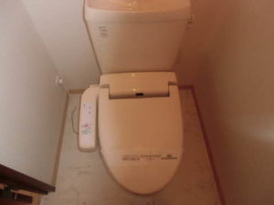 ラフォーレⅢ D111号-15