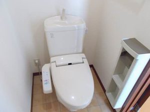 パルミールドゥー 0103号-7