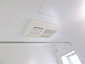 パルミールドゥー 0103号-9