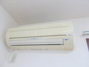 パルミールドゥー 0103号-10