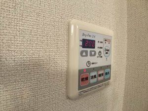 アレグリア 0105号-8