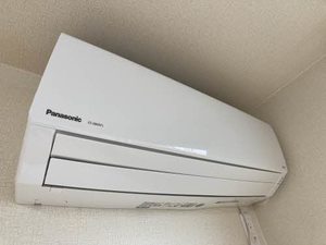 アレグリア 0105号-9