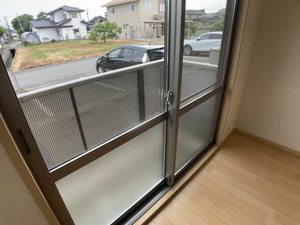 アレグリア 0105号-10