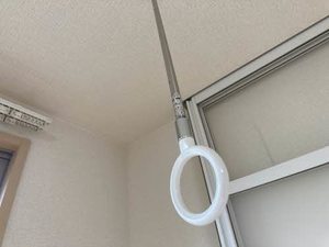 アレグリア 0105号-12