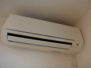 アレグリア 0205号-7