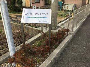 コーポフレグランスＦ 0101号-13