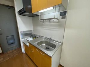 ハウスコスモ 0202号-5