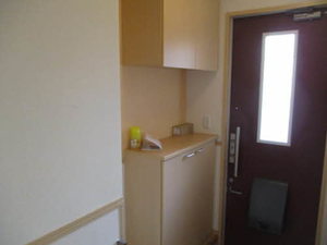 ディアスＯＳＡＫＩ 0101号-12