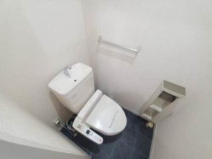 ベル・シャンテⅠ A102号-9