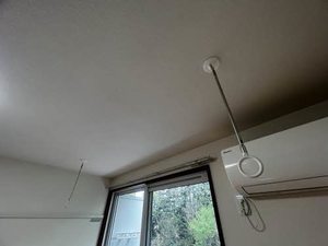 シャーメゾン06 0210号-5