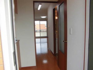 マーガレット A203号-4