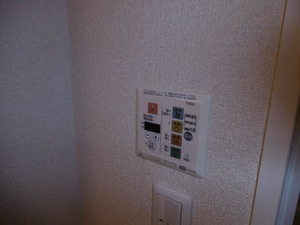 ブエノス中川 B207号-13