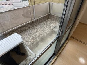 ブエノス中川 C112号-10