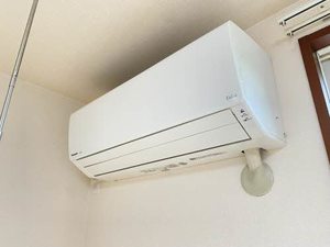 メゾンはなみずき 0101号-4