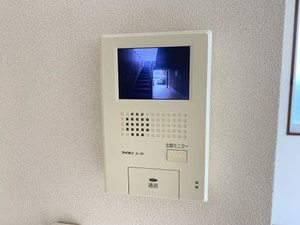 メゾンはなみずき 0101号-6