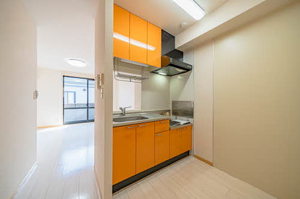 ジュネス幸Ⅱ 0205号-9