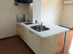 シャーメゾン仙古 A202号-11