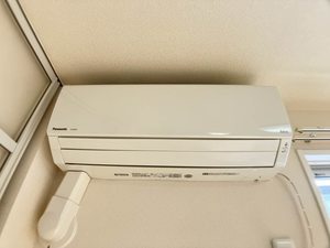 マメゾン B102号-4