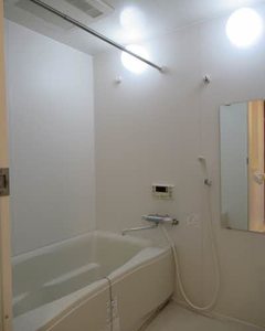 Maple Ⅰ 0206号-12