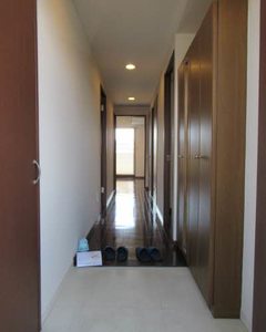 Maple Ⅰ 0206号-14