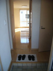 Ａｒａｎｃｉｏｎｅ成和 0101号-3