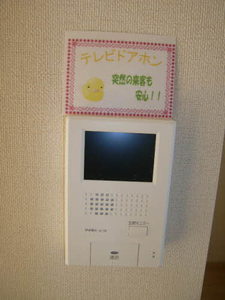 Ａｒａｎｃｉｏｎｅ成和 0101号-10