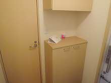 Ａｒａｎｃｉｏｎｅ成和 0101号-15