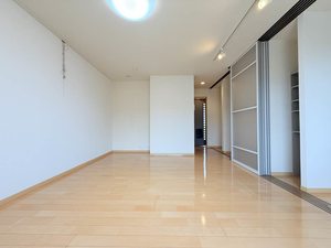 ドルフⅠ 0203号-2