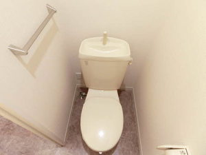 レクエルドサオリⅡ A102号-11