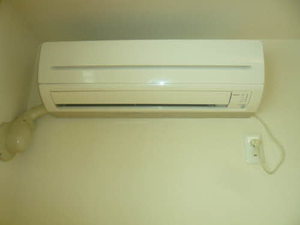 ディアス　シャイロ B203号-12