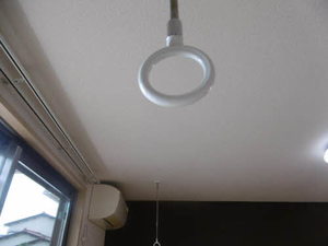 フェリックス－Ｓ 0103号-6