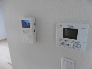 フェリックス－Ｓ 0103号-7