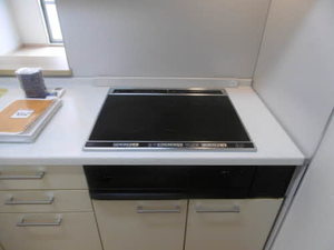 フェリックス－Ｓ 0103号-9