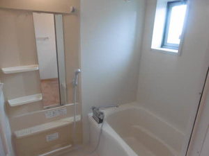 フェリックス－Ｓ 0103号-13